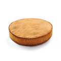 Fond de tarte biscuité rond Pidy, neutre, 22 cm