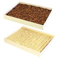 Micro Brownie et Blondie-Box - 3