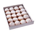 SG-Mini beignet fourré framboise groseille - 5