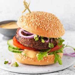 Schnitzer Pain burger Bio, sans gluten