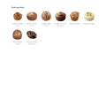 Assortiment "Douceurs au praliné" - 4