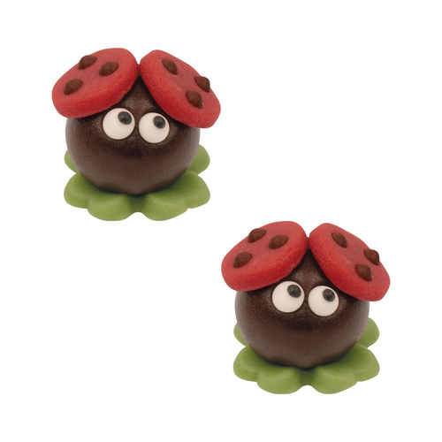 Coccinelle porte-bonheur, boîte