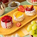 Assortiment de fonds de tarte génoise - 1