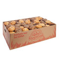 Assortiment minis petits pains breakfast