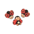 Coccinelles en sucres, 2 Sortes