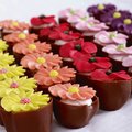 Fleurs en sucre, grand format, 4 sortes