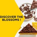 Mona Lisa Blossoms chocolat noir, 2,5 kg - 3
