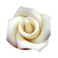 Rose en pâte d'amandes "blanc", grand modèle